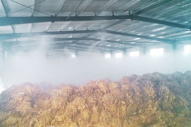 提升烟叶加工质量，高效回潮很重要