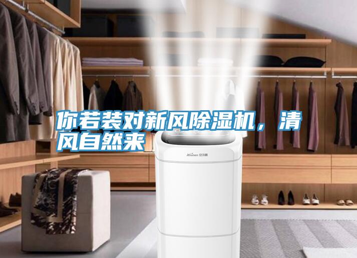 你若装对新风抖音成人版下载，清风自然来