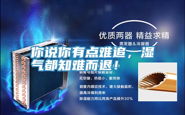 你说你有点难追，湿气都知难而退！