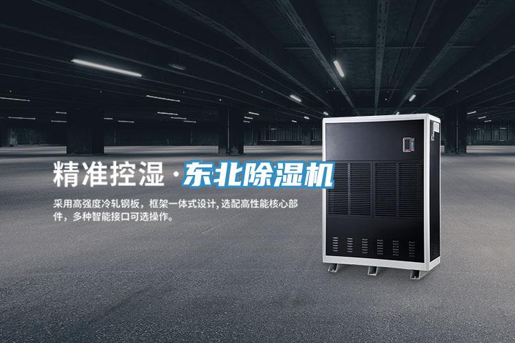 东北抖音成人版下载