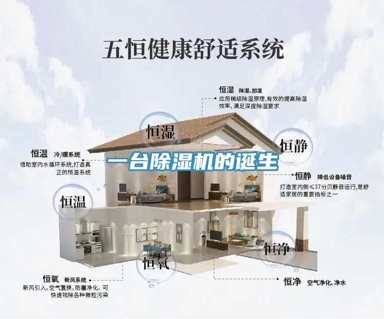 一台抖音成人版下载的诞生