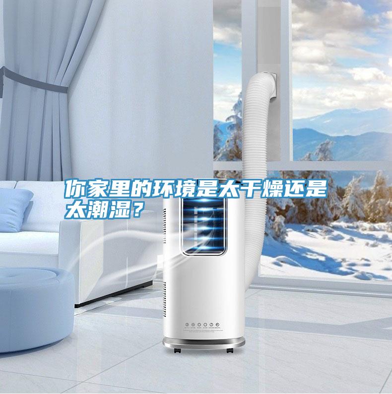 你家里的环境是太干燥还是太潮湿？