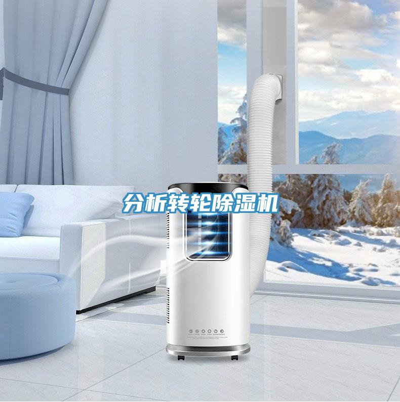 分析转轮抖音成人版下载