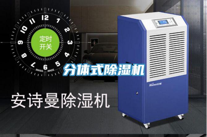 分体式抖音成人版下载