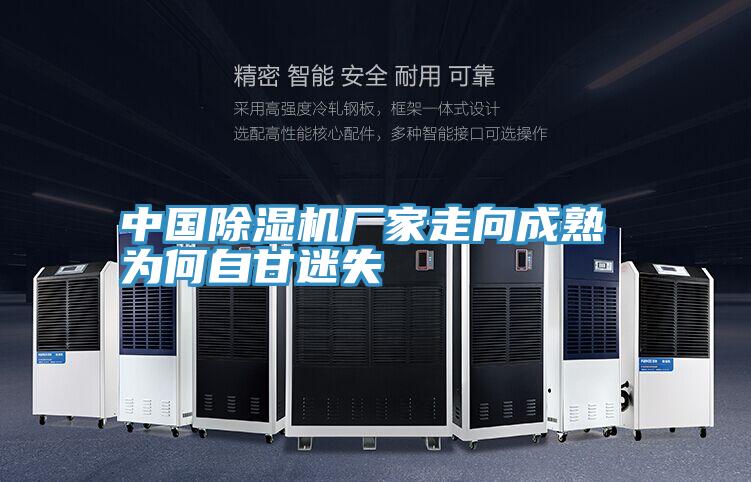 中国抖音成人版下载厂家走向成熟 为何自甘迷失