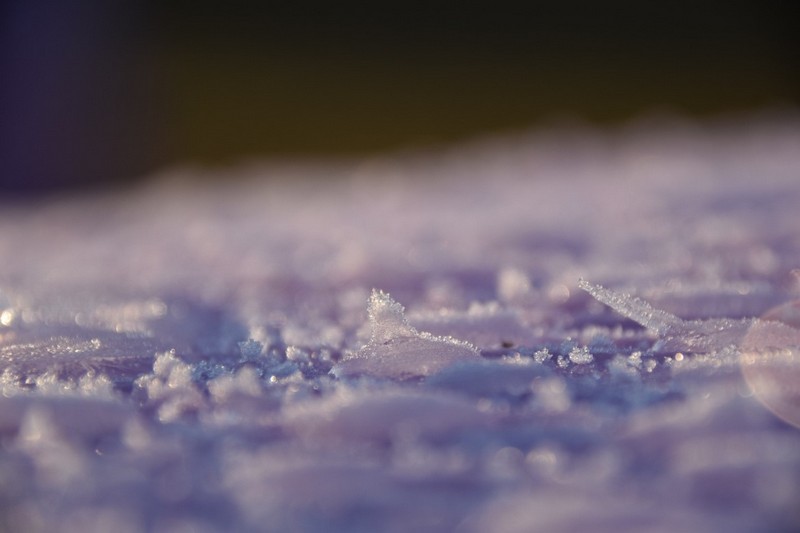 你知道抖音成人版下载为什么需要自动化霜吗？