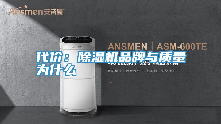 代价：抖音成人版下载品牌与质量为什么