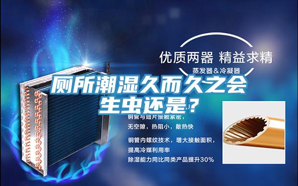 厕所潮湿久而久之会生虫还是？