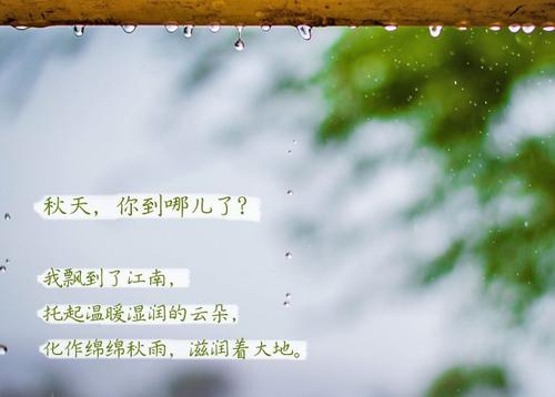“无晴”阴雨天 “有晴”抖音成人版下载