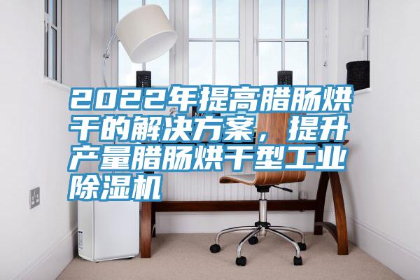 2022年提高腊肠烘干的解决方案，提升产量腊肠烘干型工业抖音成人版下载
