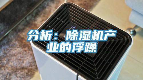 分析：抖音成人版下载产业的浮躁