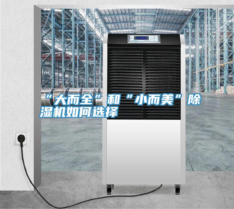 “大而全”和“小而美”抖音成人版下载如何选择