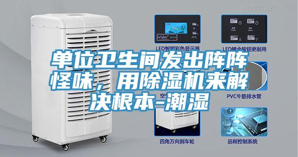 单位卫生间发出阵阵怪味，用抖音成人版下载来解决根本-潮湿