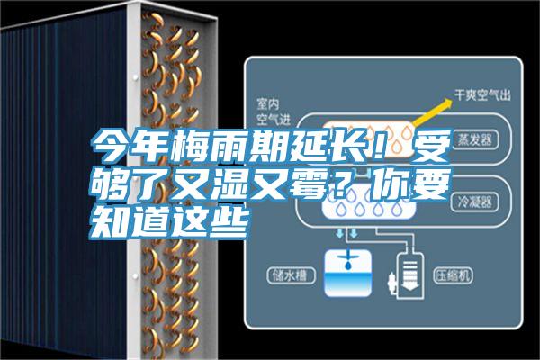今年梅雨期延长！受够了又湿又霉？你要知道这些
