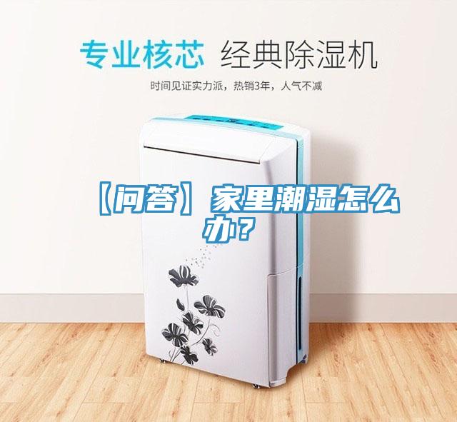 【问答】家里潮湿怎么办？