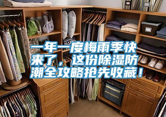 一年一度梅雨季快来了，这份除湿防潮全攻略抢先收藏！