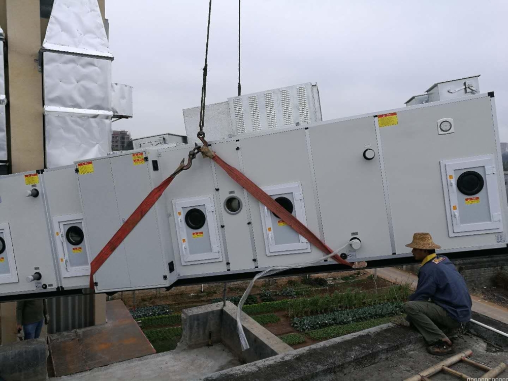 转轮抖音成人版下载安装