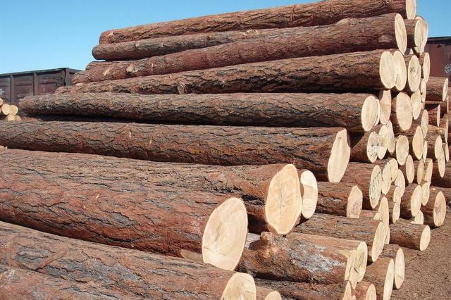 木材干燥为什么要用工业抖音成人版下载