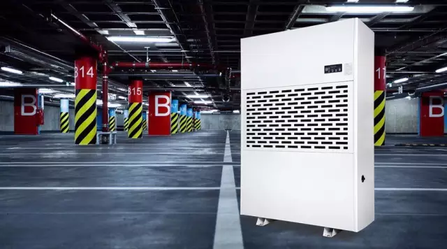 抖音成人版下载,抖音成人版下载