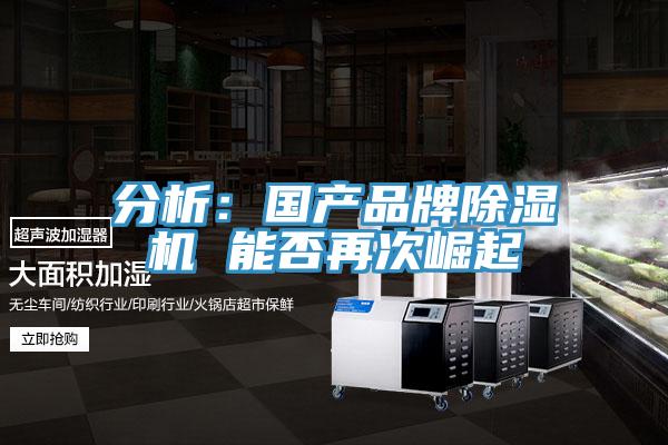 分析：国产品牌抖音成人版下载 能否再次崛起