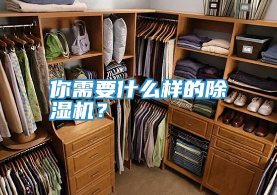 你需要什么样的抖音成人版下载？