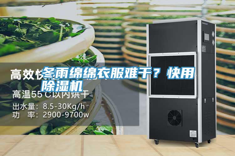 冬雨绵绵衣服难干？快用抖音成人版下载