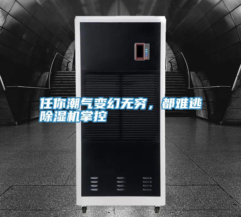 任你潮气变幻无穷，都难逃抖音成人版下载掌控