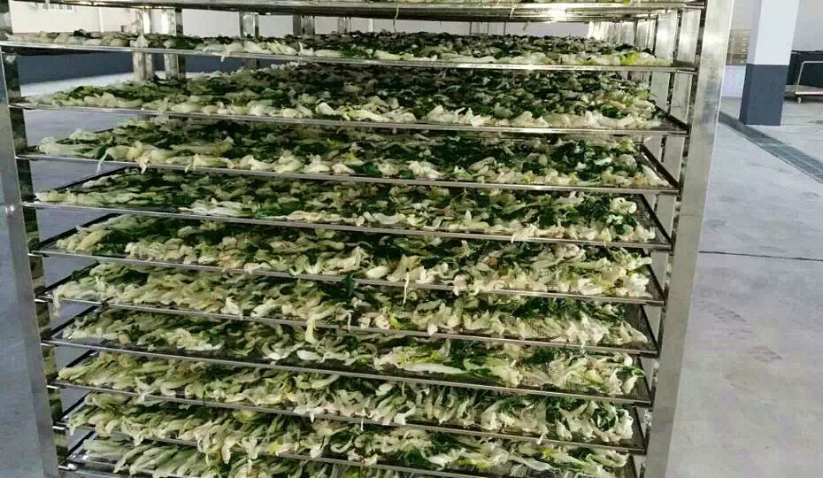 菜干需求一直都很大，蔬菜烘干机很有市场