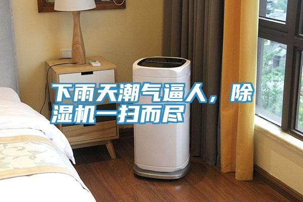 下雨天潮气逼人，抖音成人版下载一扫而尽