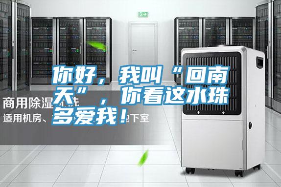 你好，我叫“回南天”，你看这水珠多爱我！