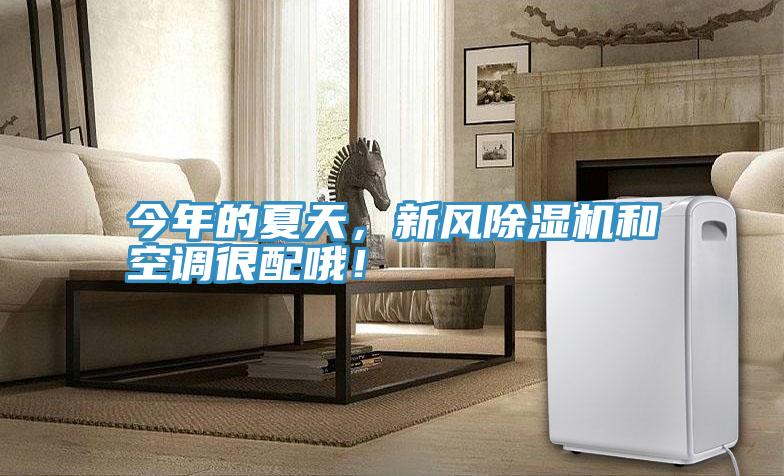 今年的夏天，新风抖音成人版下载和空调很配哦！