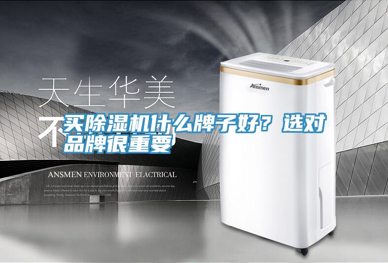 买抖音成人版下载什么牌子好？选对品牌很重要