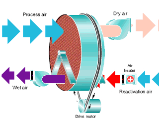 转轮抖音成人版下载工作流程