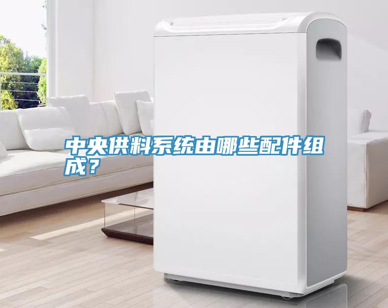 中央供料系统由哪些配件组成？