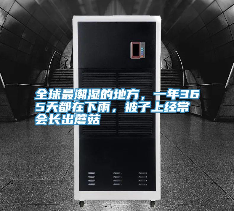 全球最潮湿的地方，一年365天都在下雨，被子上经常会长出蘑菇
