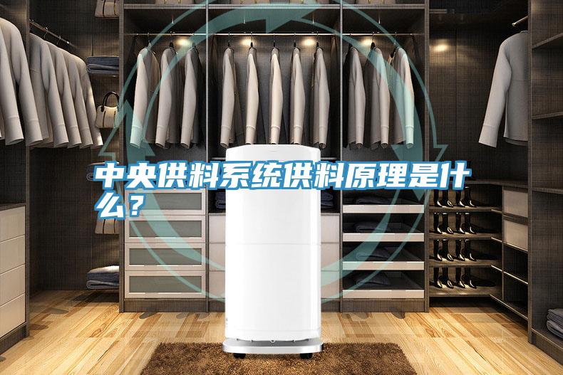中央供料系统供料原理是什么？