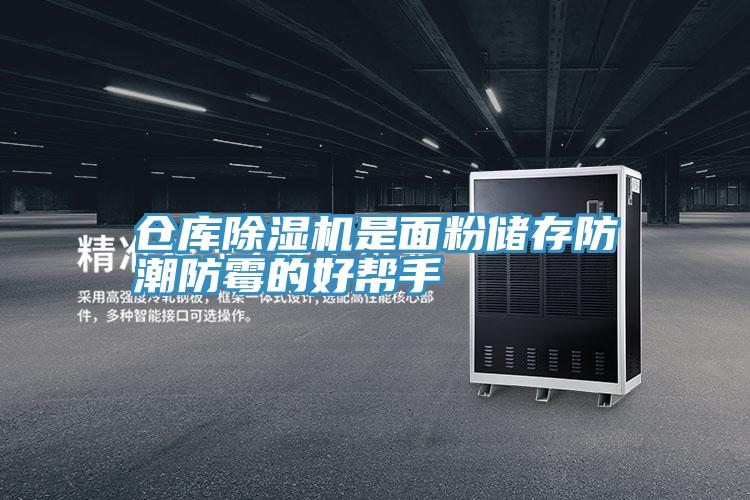 仓库抖音成人版下载是面粉储存防潮防霉的好帮手