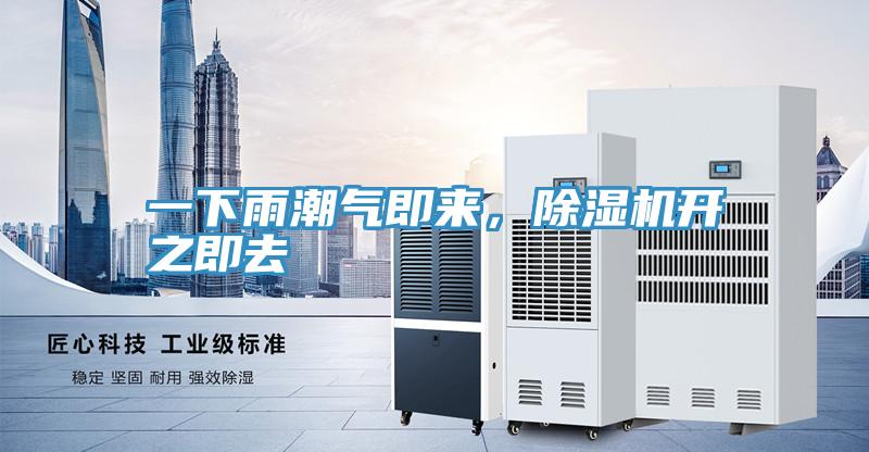 一下雨潮气即来，抖音成人版下载开之即去