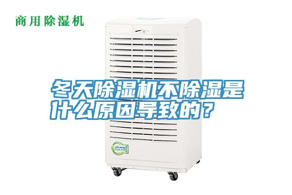 冬天抖音成人版下载不除湿是什么原因导致的？