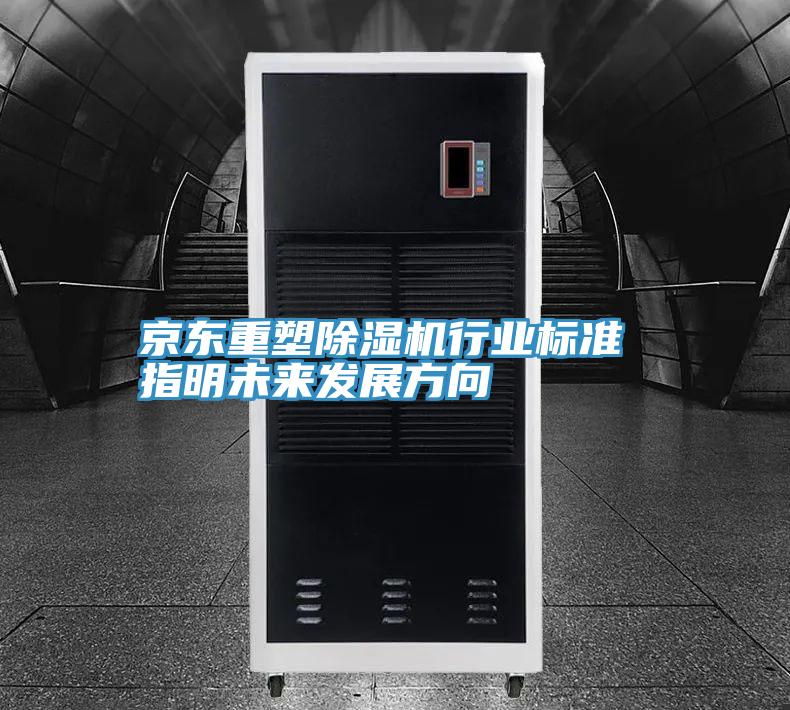 京东重塑抖音成人版下载行业标准 指明未来发展方向