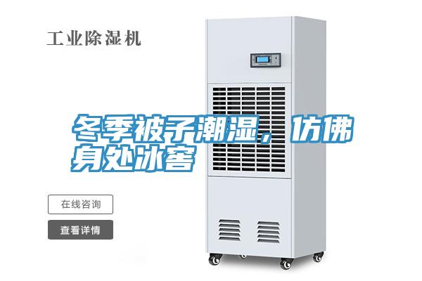 冬季被子潮湿，仿佛身处冰窖