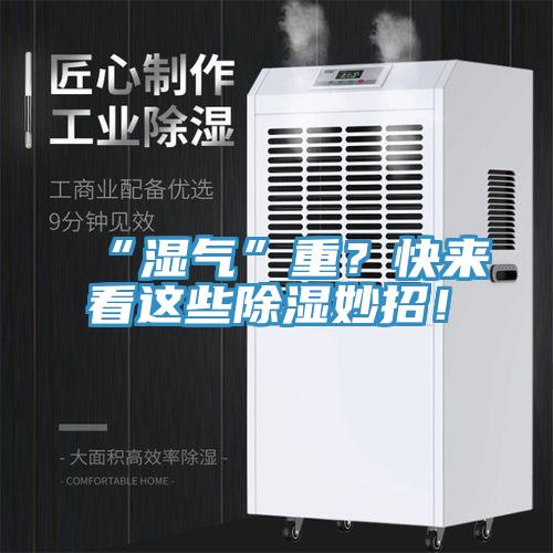 “湿气”重？快来看这些除湿妙招！