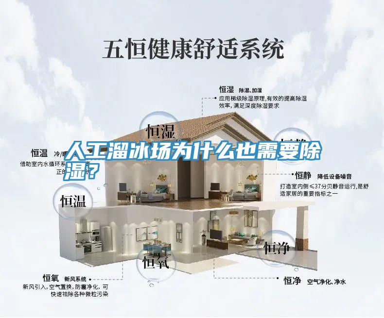 人工溜冰场为什么也需要除湿？