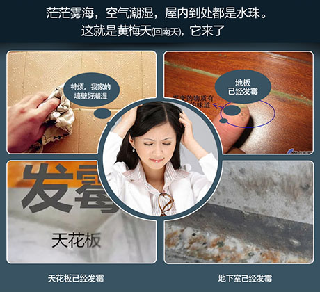 家庭别墅的地下室、卫生间、储物室等该如何除湿？