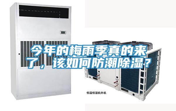 今年的梅雨季真的来了，该如何防潮除湿？