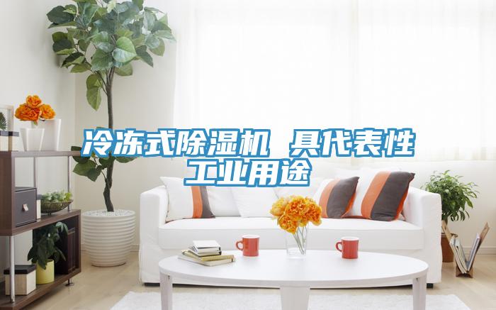 冷冻式抖音成人版下载 具代表性工业用途