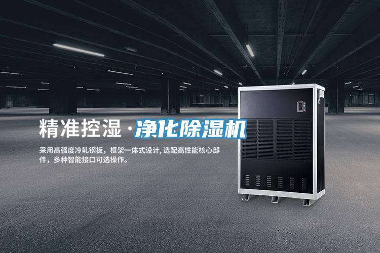 净化抖音成人版下载