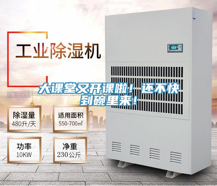 大课堂又开课啦！还不快到碗里来！