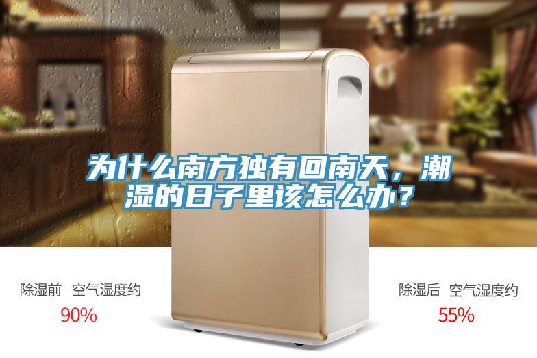 为什么南方独有回南天，潮湿的日子里该怎么办？