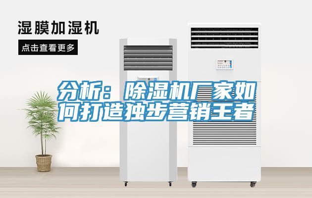 分析：抖音成人版下载厂家如何打造独步营销王者